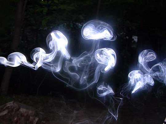 Smoke Jellyfish by Sheharzad Arshad